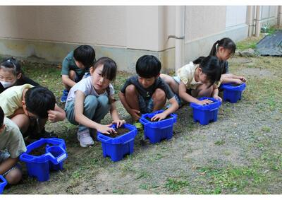 出てくるかなぁ。